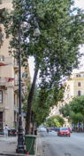 Palermo Centrale Station