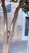 Near San Bernardo Rail