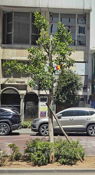 Near Central Marketplace