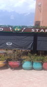 In Daoudiate