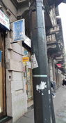 Via Vitruvio