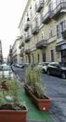 San Salvario
