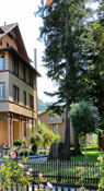 Near Wilderswil Station