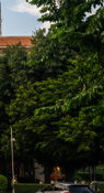 Near Chiang Mai