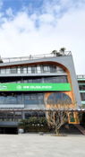 Central Sapa