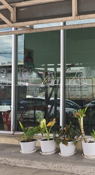 Near Suvarnabhumi Airport