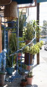 Near Mexico City Airport
