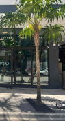 Near Midtown Miami