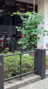George Washington University