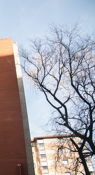 Oxford Road – Sackville Gardens