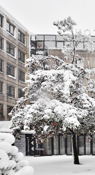 Near Grenoble Ecole de Management