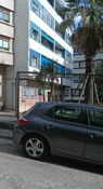Near Ponte Romana