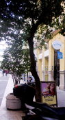 Bullring of Valencia
