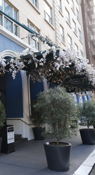Union Square - Geary St